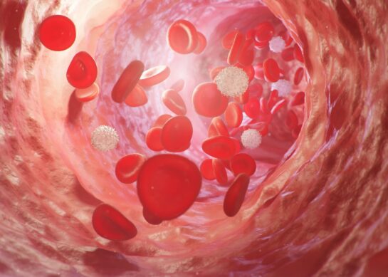 Cómo son los síntomas de la anemia