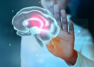 Especialistas en cerebro